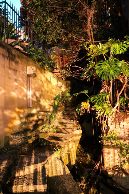 Urban Jungle