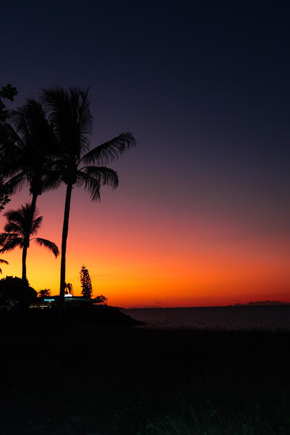 Tropical Sun